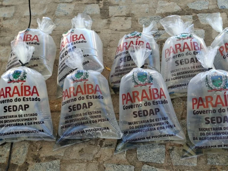 Sedap-PB distribui 200 mil alevinos nesta terça