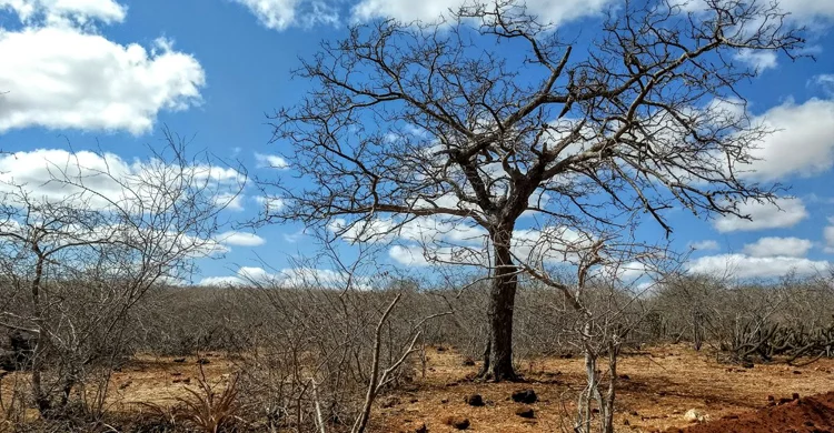 União reconhece emergência em duas cidades da Paraíba