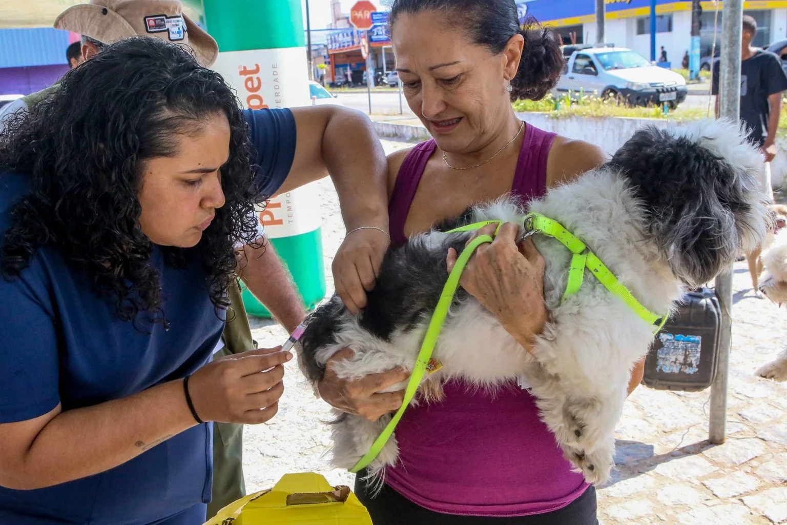 Especialista reforça importância da vacina contra a raiva em pets