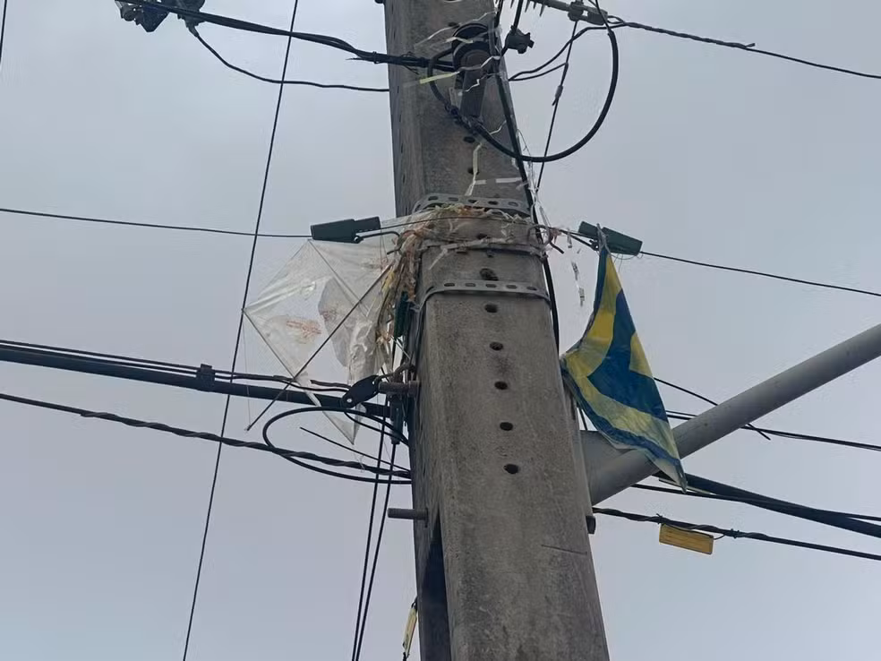 A imagem atual não possui texto alternativo. O nome do arquivo é: pipa-na-rede