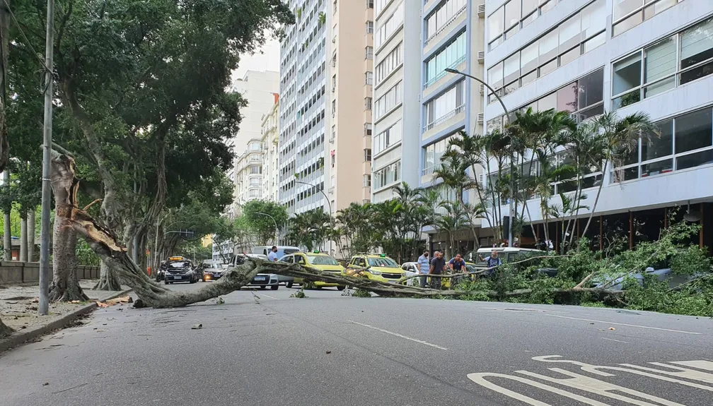 Vento de 120 km/h mata 5 e causa apagão em SP e RJ