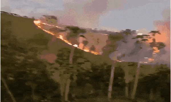 A imagem atual não possui texto alternativo. O nome do arquivo é: whatsapp-video-2026-07-27-at-20-18-59-2-1-1