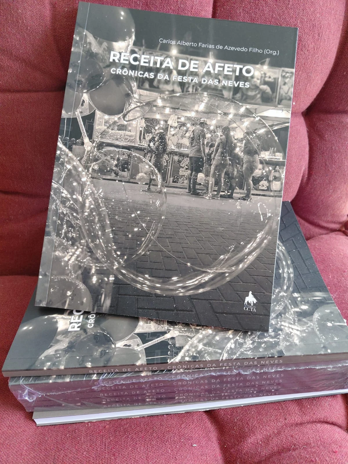 Estudantes da UFPB lançam livro sobre a Festa das Neves