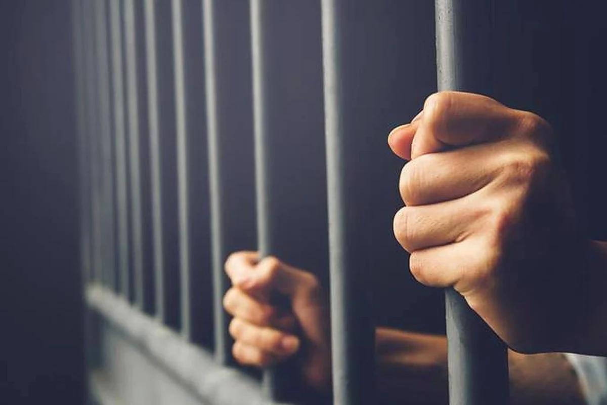 Projeto aumenta para até 10 anos pena para homicídio culposo
