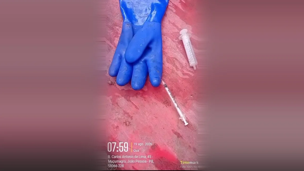 Saiba como fazer descarte de materiais perfurocortantes